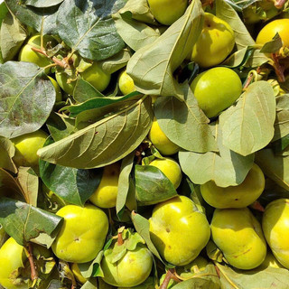 Hồng giòn mộc châu 1kí