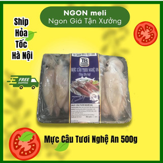 Cá mực tươi Nghệ An 500g NGON meli Giao Hàng Hỏa Tốc Tại Hà Nội