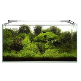 Đèn LED hồ cá San hô - Aquael LEDDY Slim ACTINIC-MARINE-PLANT-SUNNY hàng chính hãng Balan | KYANHKOIFARM