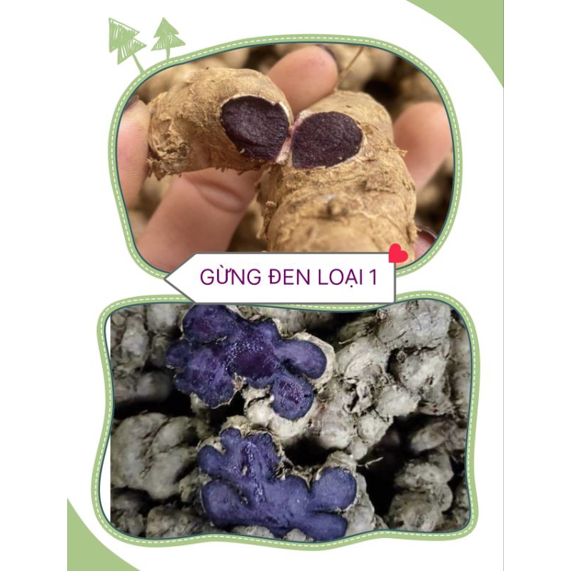 1kg GỪNG ĐEN TƯơI TÂY BẮC