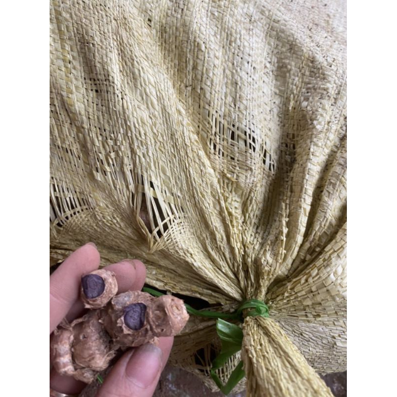 1kg GỪNG ĐEN TƯơI TÂY BẮC