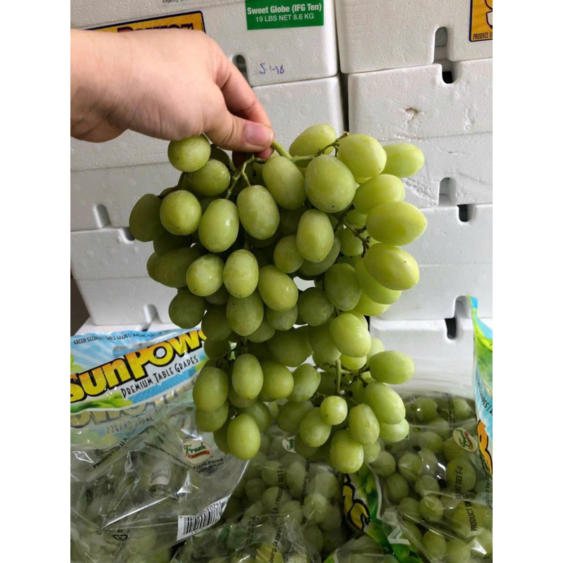 NHO XANH MỸ (1kg)