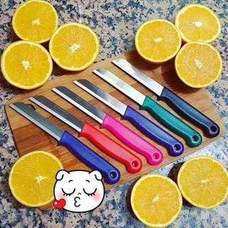 [Hà Hàng Đức] Dao gọt hoa quả Soligen