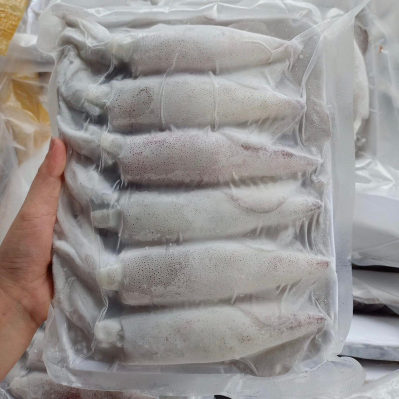 MỰC TRỨNG LOẠI VIP SIZE 15-20CON/KG. MỰC TƯƠI SÁNG, FULL TRỨNG
