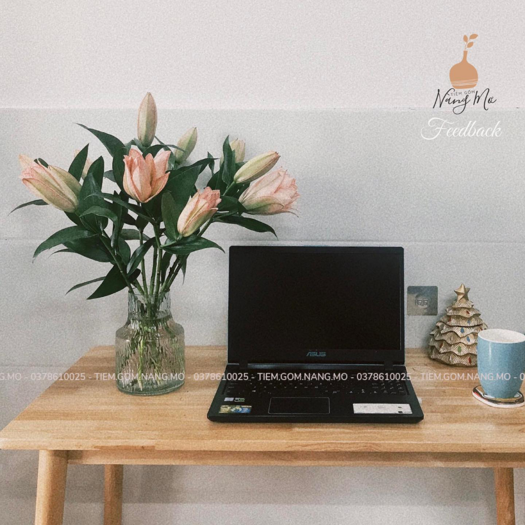 Bình thủy tinh dòng sông cực kì băng giá, cắm hoa phụ nữ gấc iu =)))))