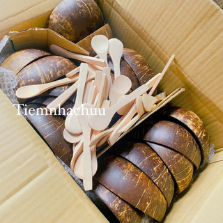 SỈ COMBO 10 SET GÁO DỪA