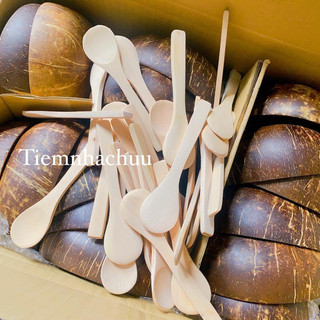Sỉ combo 10 set gáo dừa
