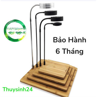 Đèn led hồ cá kèm đế gỗ | đèn cho hồ bán cạn | thuỷ sinh | terrarium | đèn led ÁNH SÁNG TRẮNG chuyên dụng cho hồ cá cảnh