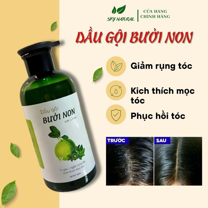 Dầu gội bưởi thiên nhiên dưỡng mọc tóc , kích mọc tóc - Dầu gội đầu thảo dược chống rụng tóc 500ml