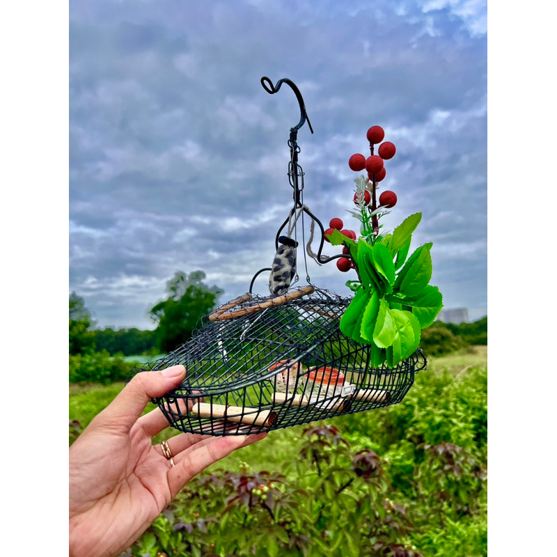 Lồng bẫy chim khuyên, hút mật, sâu, ốc mít, 5 màu phom mini kèm phụ kiện