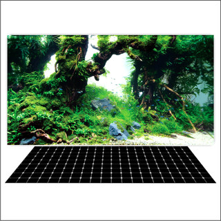 Tranh 3d decal có sẵn keo, tranh dán bể cá thủy sinh, bể cá rồng _ts 66