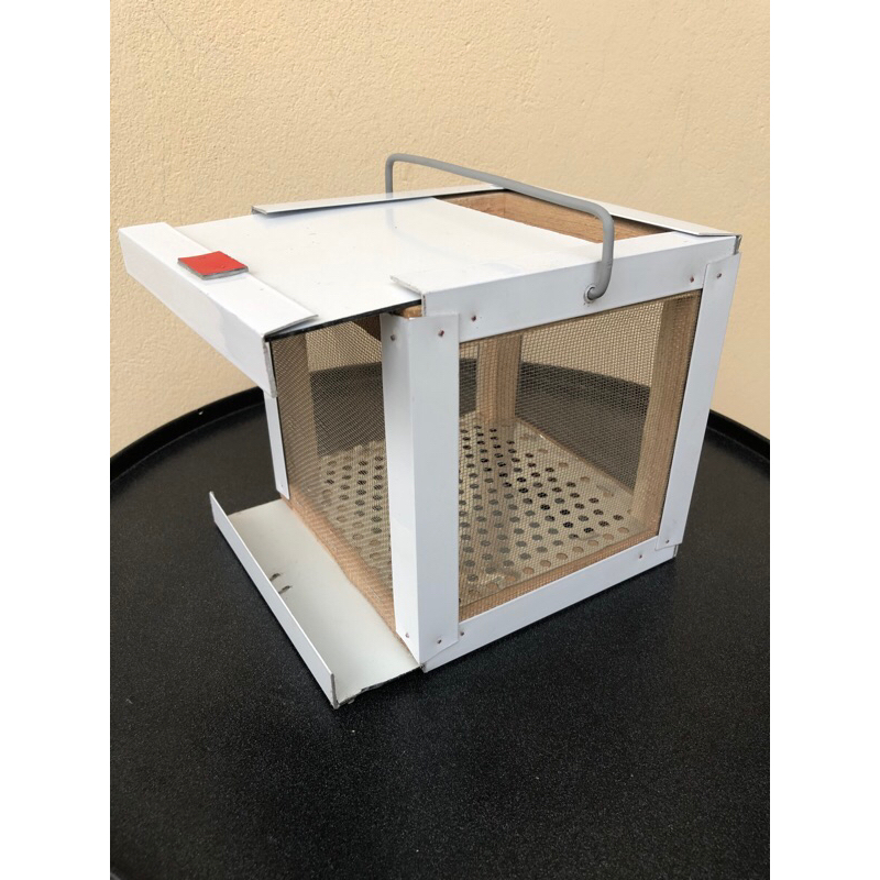 Hộp đựng Dế câu lure câu cá