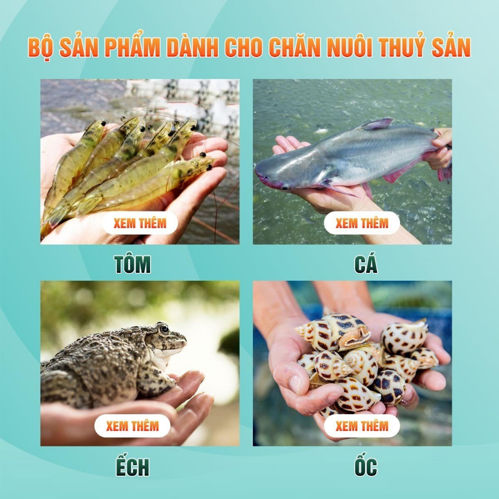 Men lợi khuẩn đường ruột siêu đặc HG PRO - hỗ trợ tiêu hóa cho tôm cá, thủy sản