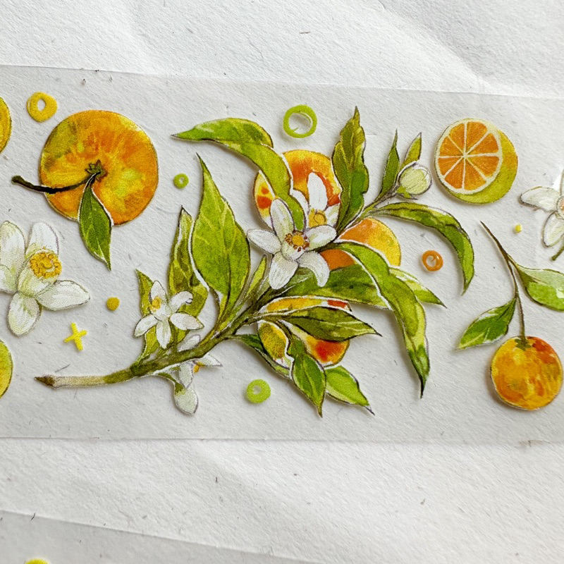 Saunery - Băng dán trang trí sổ Bulletjournal quả quýt - TIBR