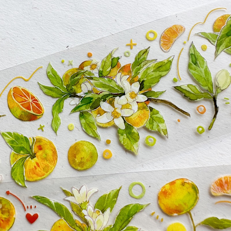 Saunery - Băng dán trang trí sổ Bulletjournal quả quýt - TIBR