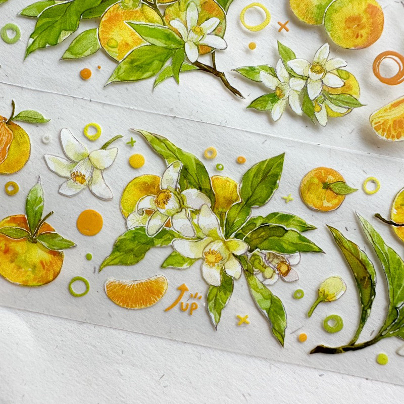 Saunery - Băng dán trang trí sổ Bulletjournal quả quýt - TIBR