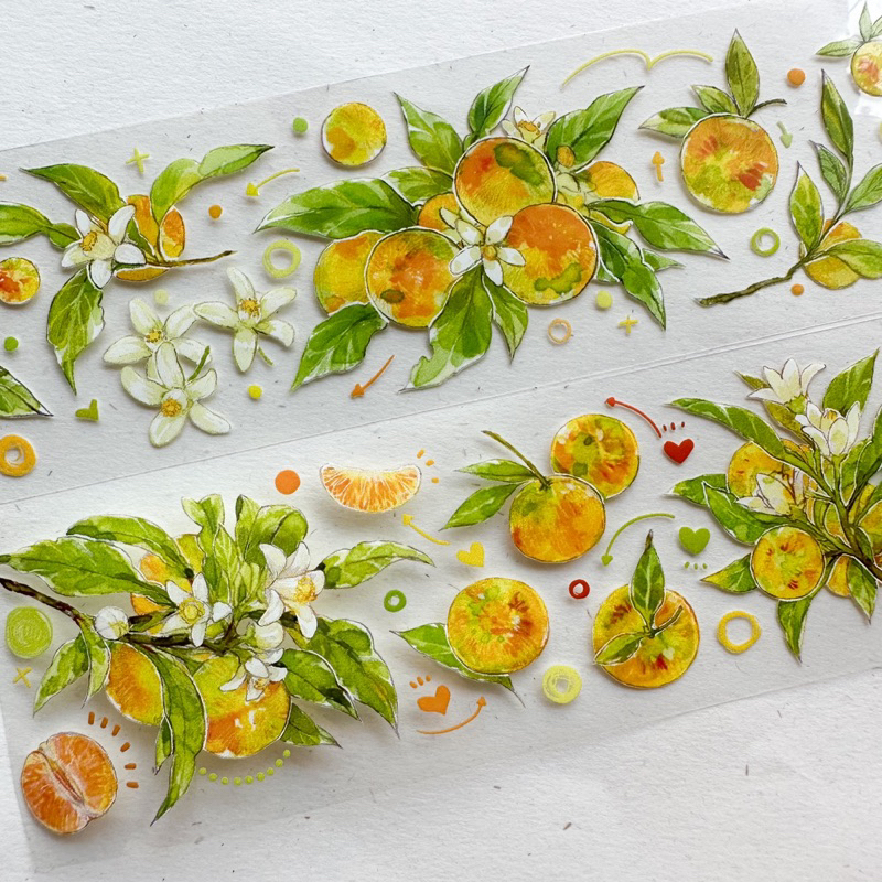 Saunery - Băng dán trang trí sổ Bulletjournal quả quýt - TIBR