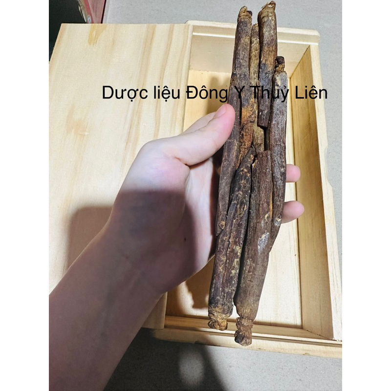 NHÂN SÂM CAO LY TRIỀU TIÊN THIÊN 30