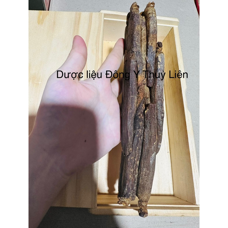 NHÂN SÂM CAO LY TRIỀU TIÊN THIÊN 30