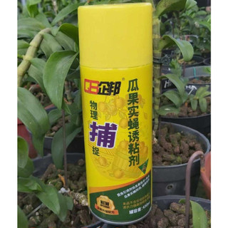 Keo xịt dính ruồi vàng - chai 450ml