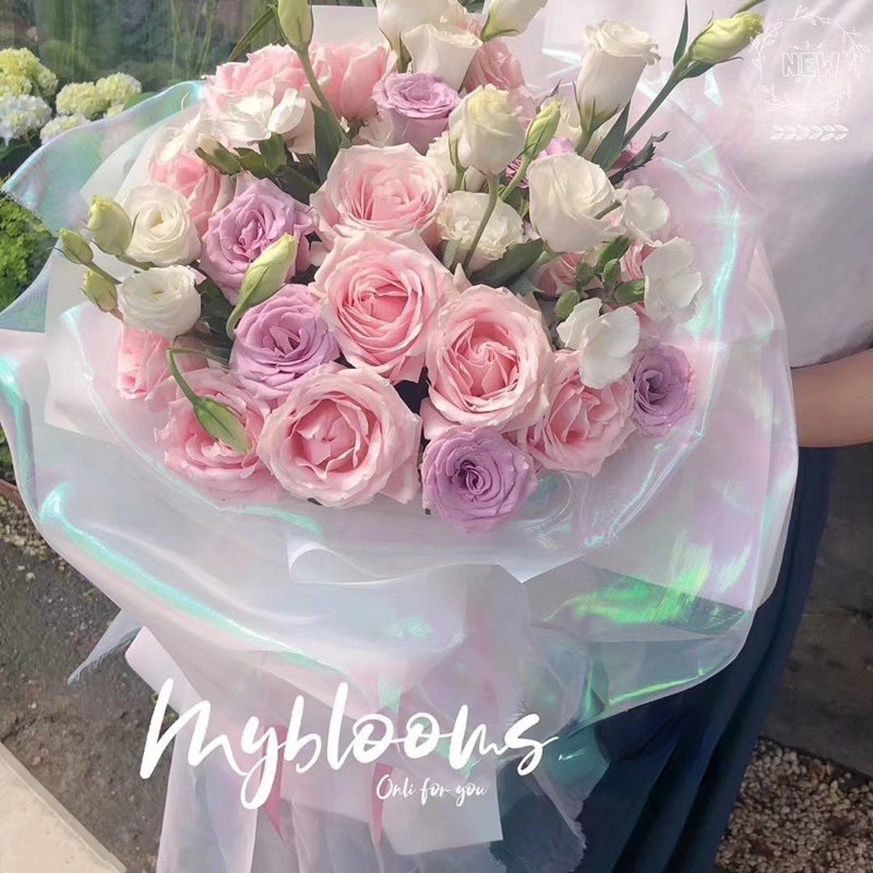 1M Voan Kính Ánh Xà Cừ Hologram Lấp Lánh