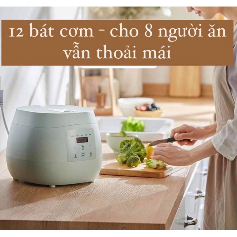 NỒI CƠM ĐIỆN BEAR 5L