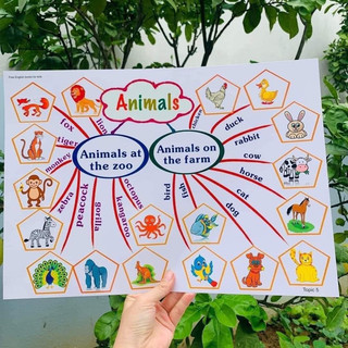 Học liệu tư duy mind map tiếng anh 11 chủ đề cho bé