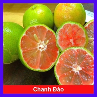Hà Nội! Chanh Đào tươi 1kg để ngâm mật ong ship Hỏa tốc hoặc tỉnh