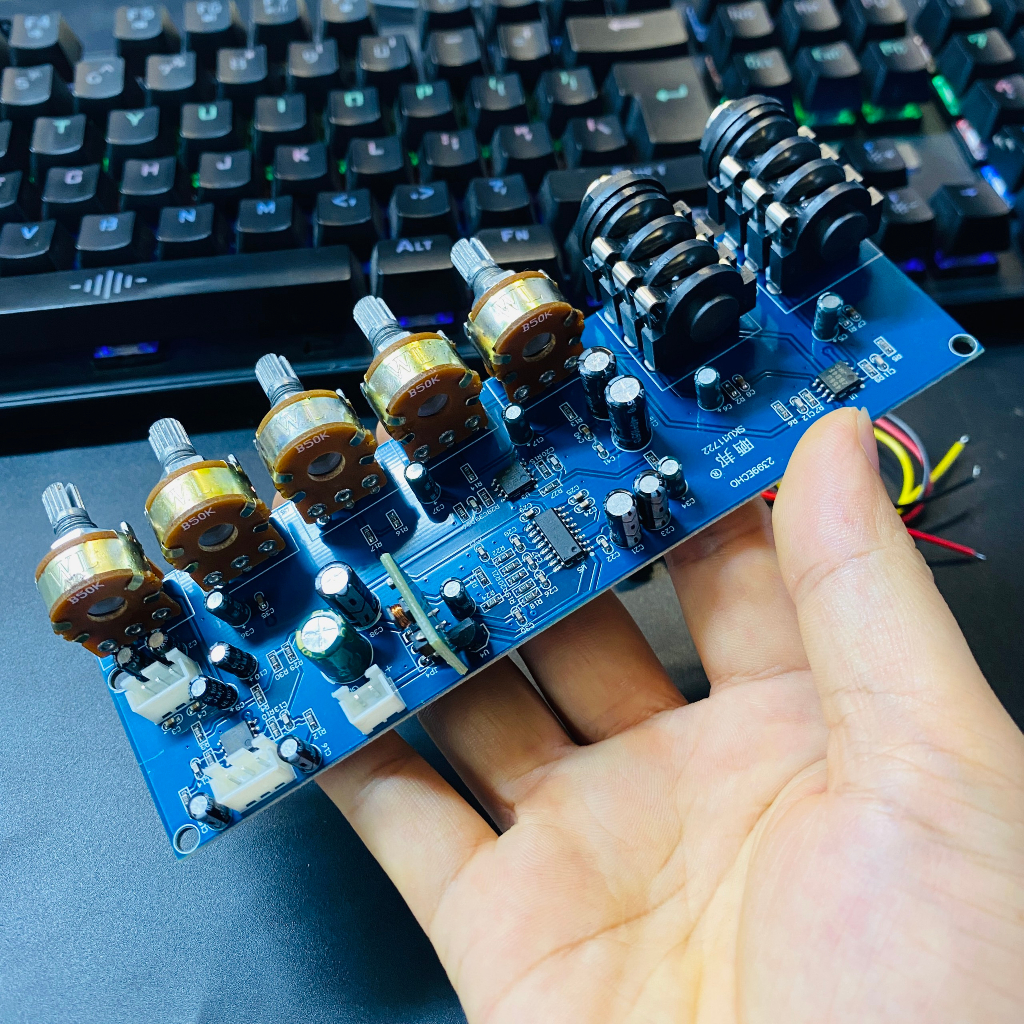 Mạch PT2399 Karaoke Reverb nguồn đơn 12V Bản cao cấp