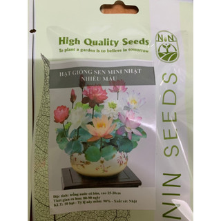 Hạt giống sen mini nhật bản nhiều màu nhập khẩu chính hãng