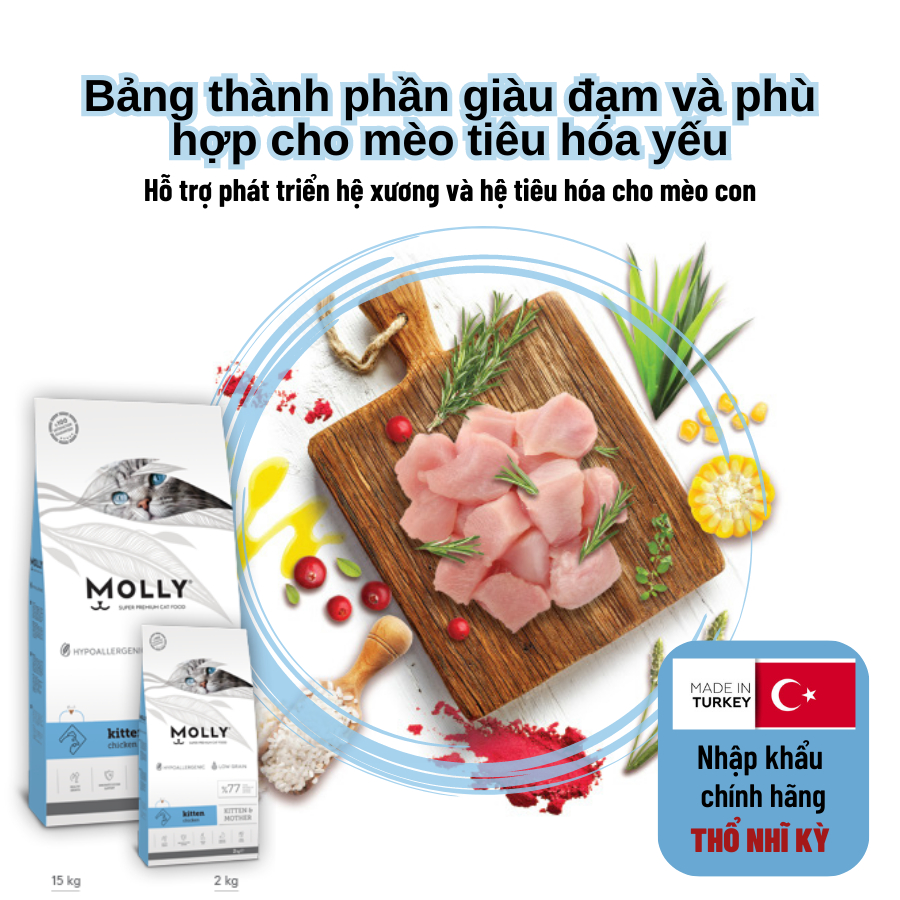 Thức ăn hạt cho mèo Molly dành cho mèo con và mèo bầu vị thịt gà đến từ Thổ Nhĩ Kỳ túi 2kg
