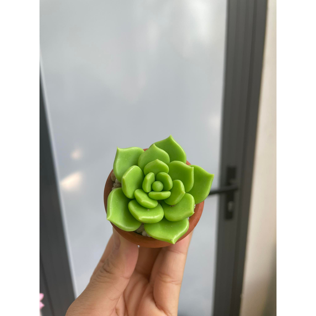 Chậu sen đá mini làm bằng đất sét đường kính 5cm