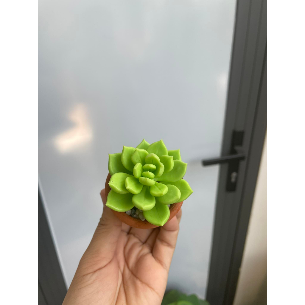 Chậu sen đá mini làm bằng đất sét đường kính 5cm