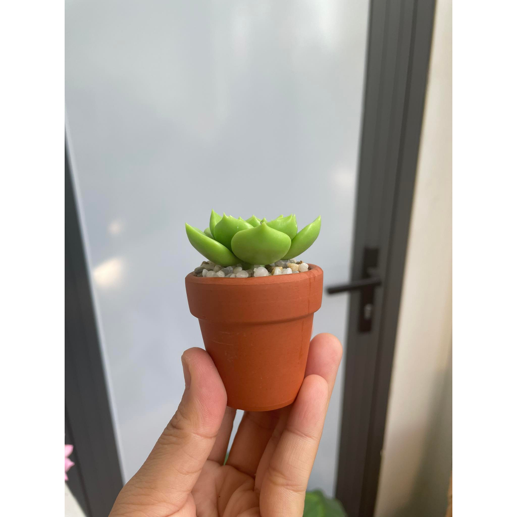 Chậu sen đá mini làm bằng đất sét đường kính 5cm