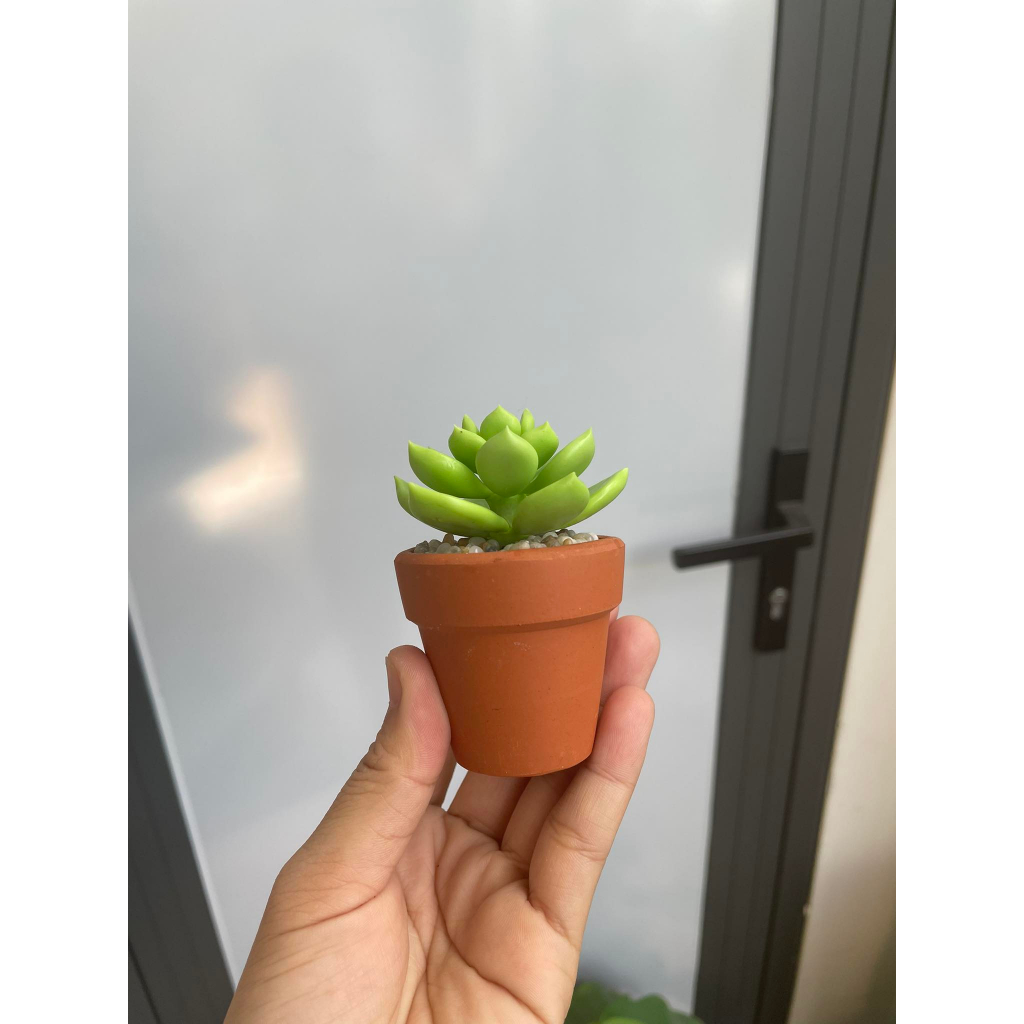 Chậu sen đá mini làm bằng đất sét đường kính 5cm