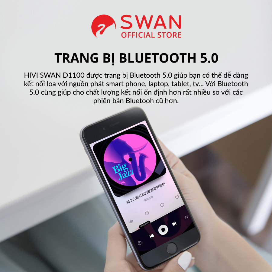 Loa HIVI SWAN D1100 - Bluetooth 5.0 - Kết nối Optical Coaxial  - Woofer 4 inch - Công suất 62W - Chính hãng MAI THU