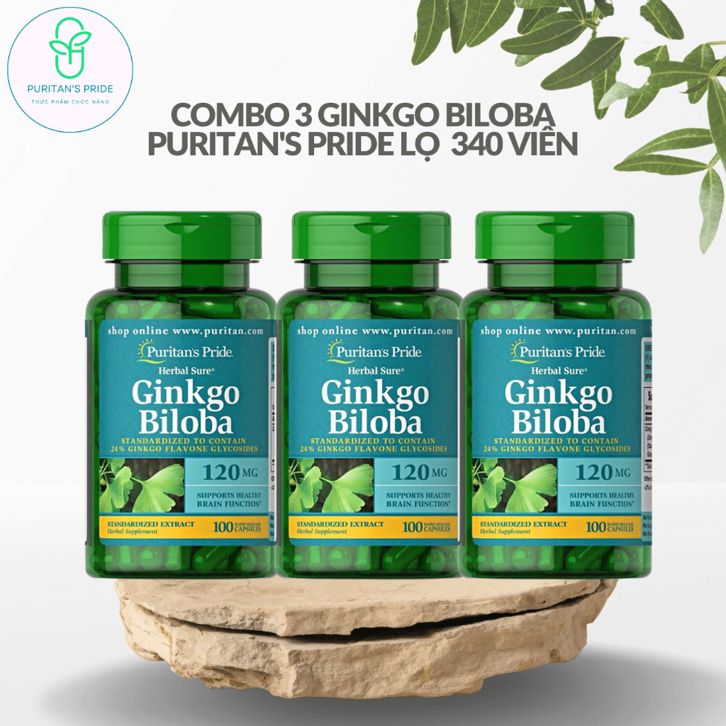 Combo 3 Lọ Tuần Hoàn Não Ginkgo Biloba Puritan's Pride 120mg, lọ 100 viên