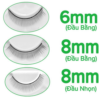 Mi tập nối 5 cặp và 10 cặp