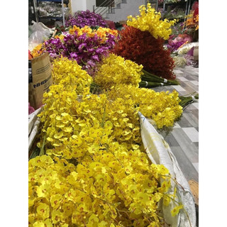 Cành lan vũ nữ ( hoa giả)