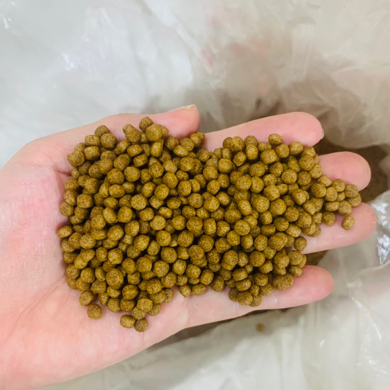 Cám cá hạt 30% đạm, cám đi câu,cám cho cá cảnh