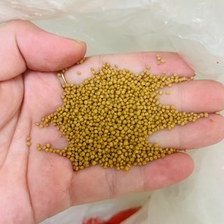 Cám cá hạt 30% ,40% đạm, cám đi câu,cám cho cá cảnh