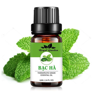 Tinh Dầu Bạc Hà Peppermint Essential Oil Nguyên Chất Nhập Khẩu Thái Lan