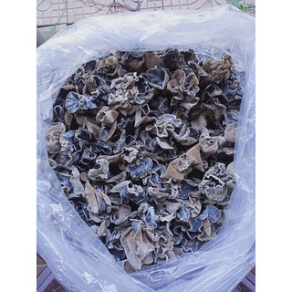 Mộc nhĩ rừng (Đặc sản núi rừng Tây Bắc) - 200g
