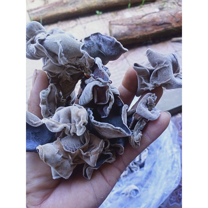 Mộc nhĩ rừng (Đặc sản núi rừng Tây Bắc) - 200g