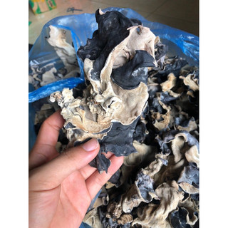Mộc nhĩ rừng (Đặc sản núi rừng Tây Bắc) - 200g