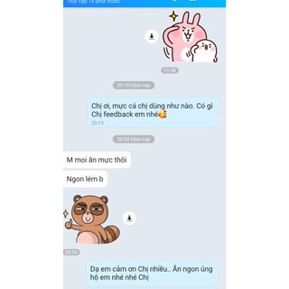 Mực Ống Lớn Phú Quốc Size 4-6 Con/kg