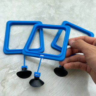 Vòng giữ thức ăn cá cảnh thủy sinh