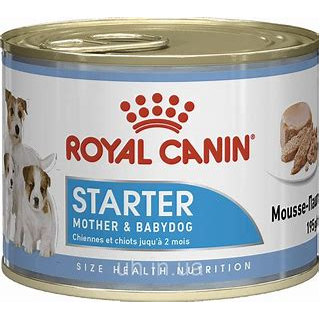 Pate cho chó Royal Canin Mini Puppy/Starter Mousse