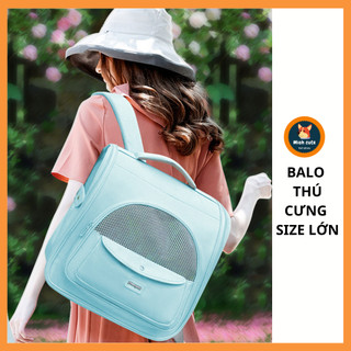 Balo chở thú cưng MOORPET Size lớn Balo chuyên chở thú cưng