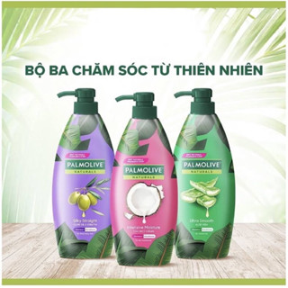  Dầu gội kèm dầu xả  2 in 1 Palmolive Suôn mượt & Óng ả 600ML chiết xuất thiên nhiên 